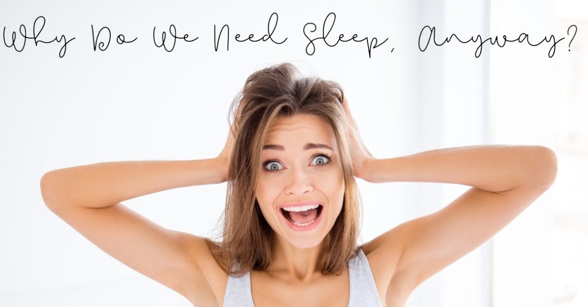 Why Do We Need Sleep Anyway?